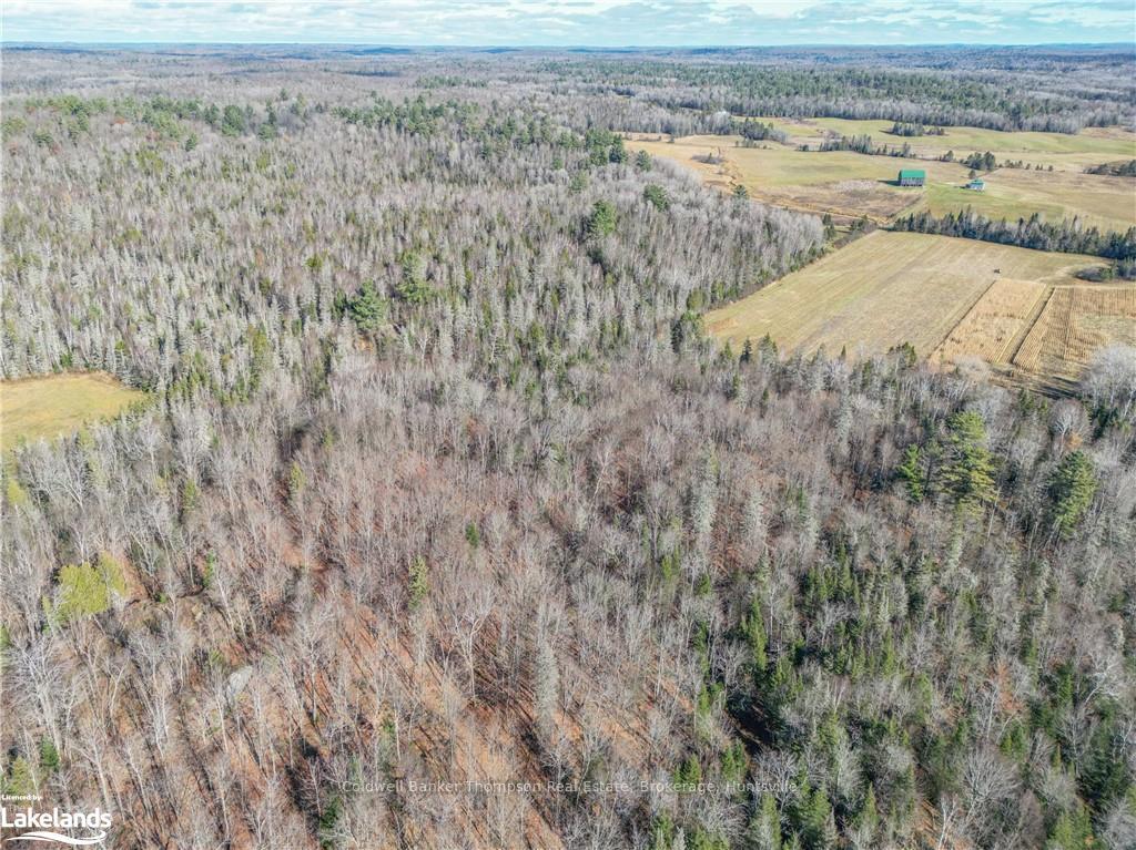 Photo 16 of Miller Rd, Magnetawan — HOMEH