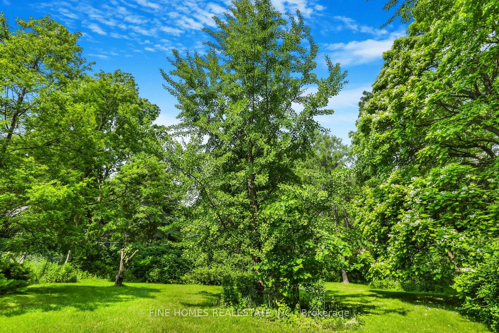 Photo 4 of 671 Lions Club Road, Hamilton, Rural Ancaster — HOMEH