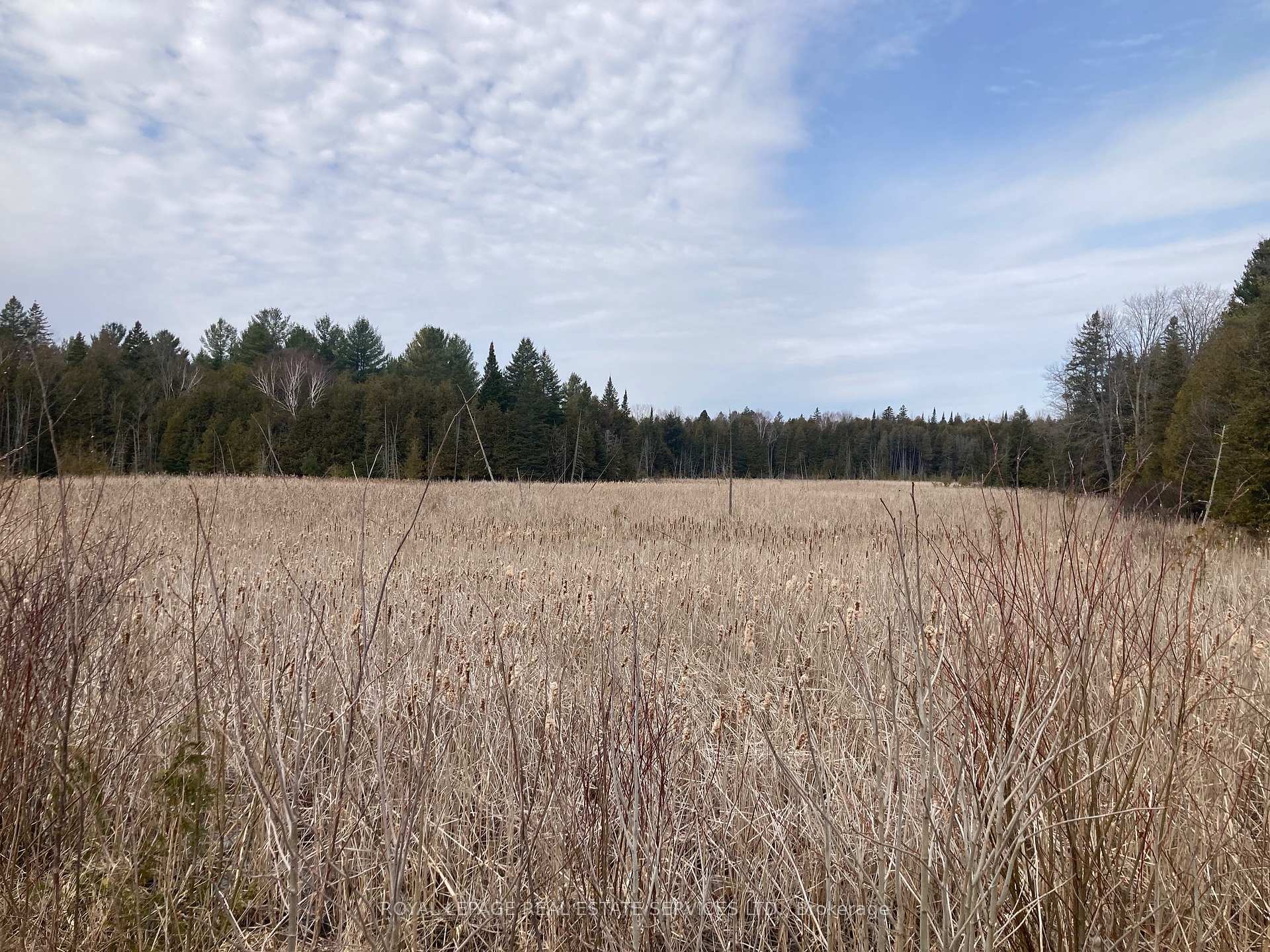 Photo 6 of County Rd 40, Douro-Dummer — HOMEH