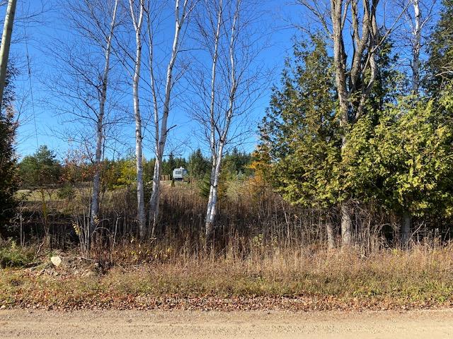 Photo 13 of 540247 80 Side Road, Chatsworth — HOMEH