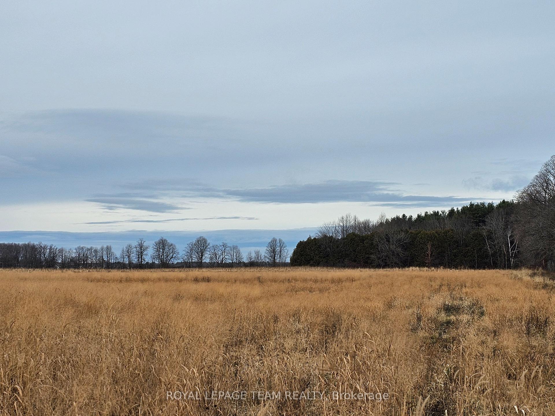 Photo 8 of 4456 John Shaw Road, Ottawa, Fitzroy — HOMEH