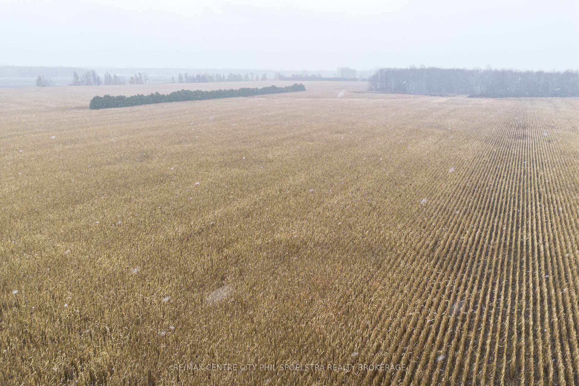 Photo 5 of 714 McCready Road, Dawn-Euphemia — HOMEH