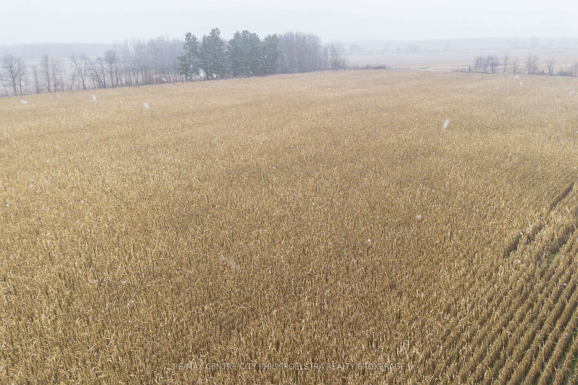 Photo 6 of 714 McCready Road, Dawn-Euphemia — HOMEH
