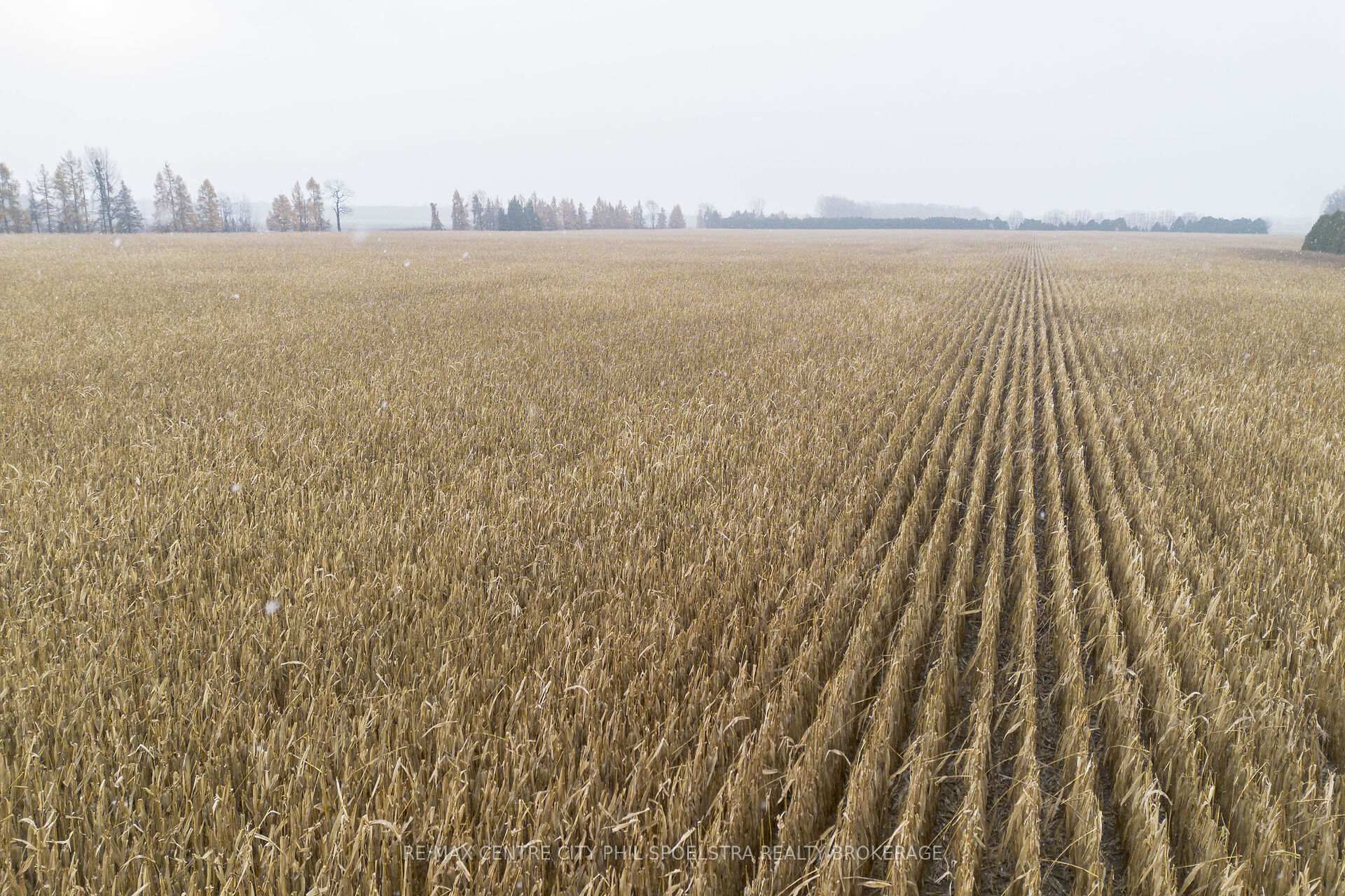 Photo 12 of 714 McCready Road, Dawn-Euphemia — HOMEH