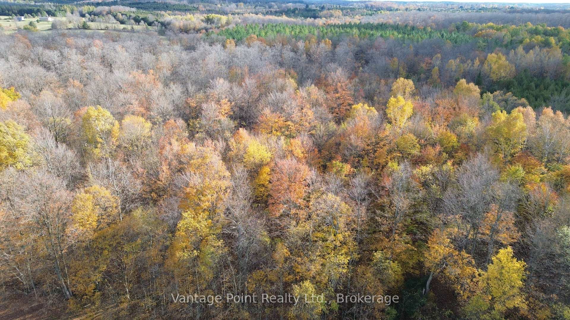 Photo 15 of 583634 60 Side Road, Chatsworth — HOMEH