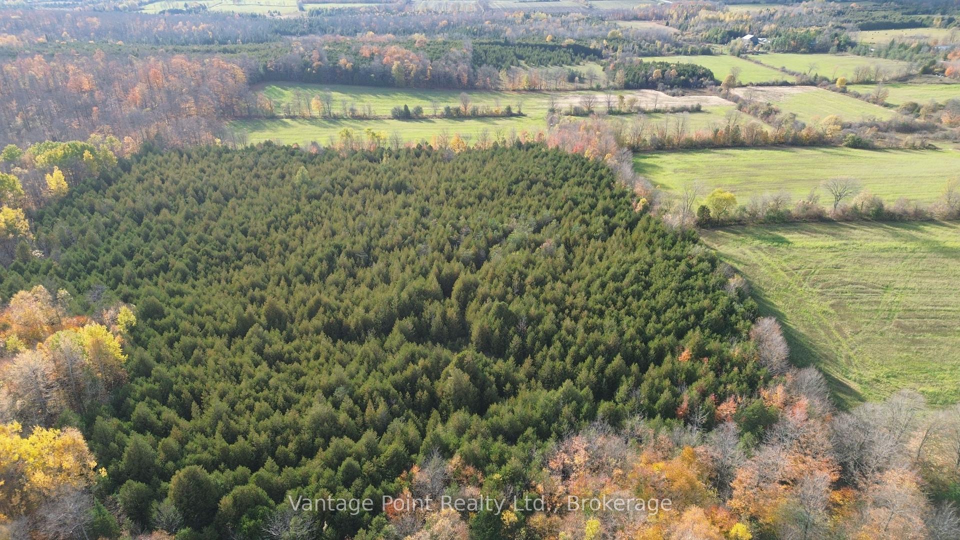 Photo 16 of 583634 60 Side Road, Chatsworth — HOMEH