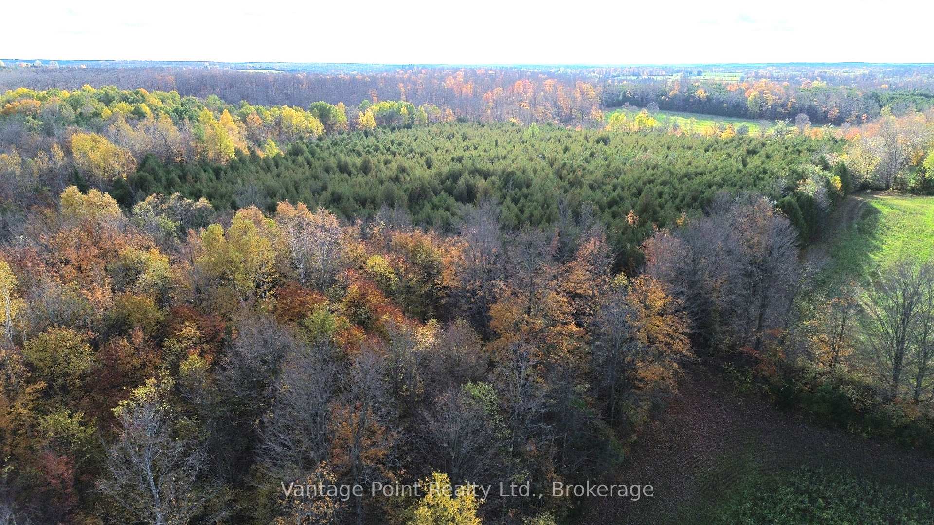 Photo 17 of 583634 60 Side Road, Chatsworth — HOMEH
