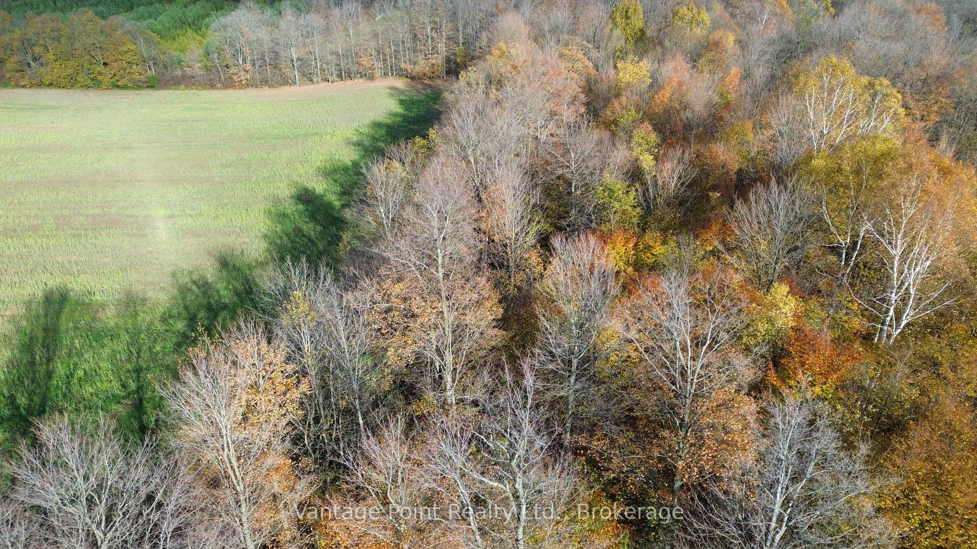 Photo 18 of 583634 60 Side Road, Chatsworth — HOMEH