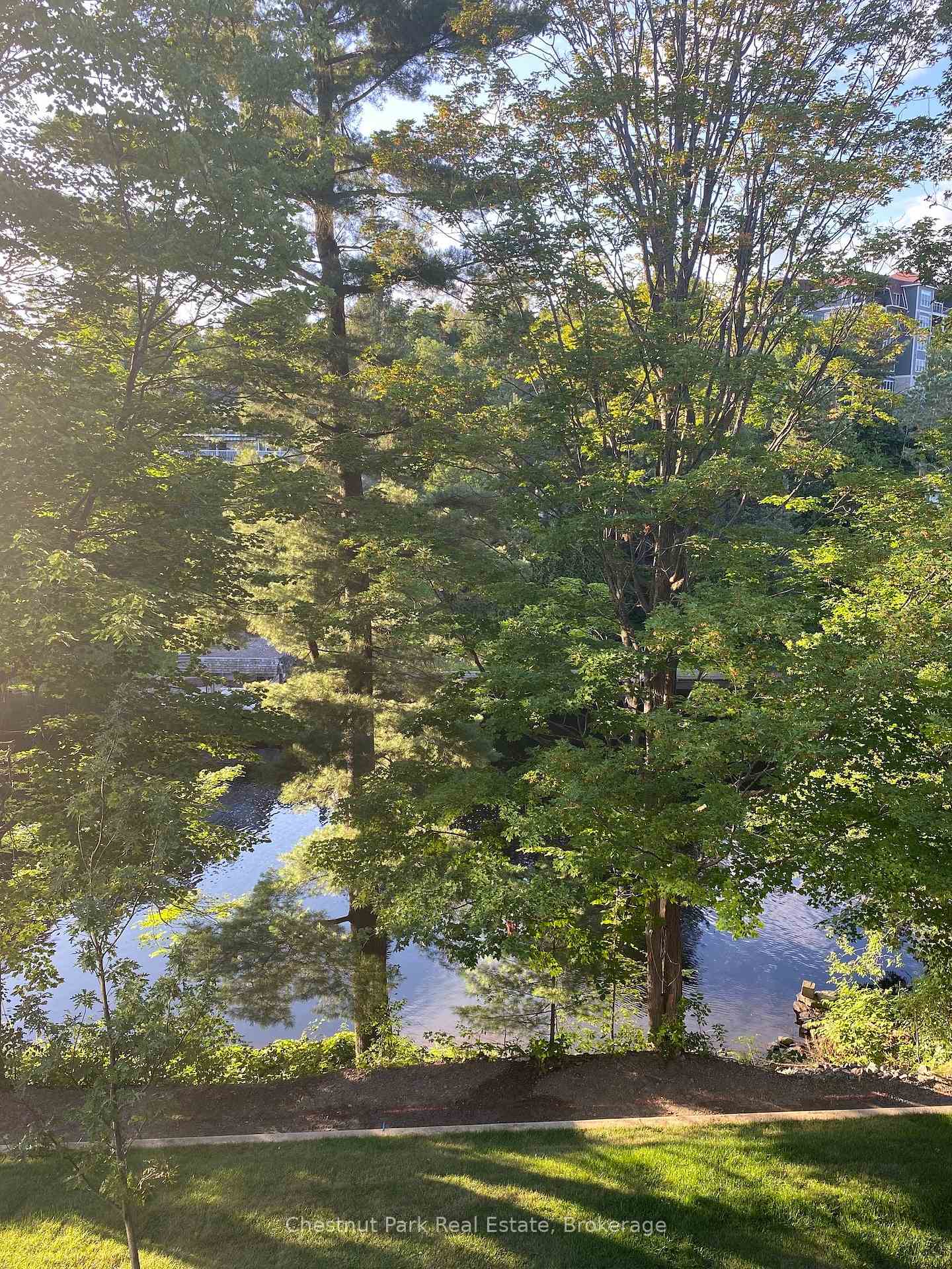 Photo 4 of 404-200 Anglo Street, Bracebridge, Macaulay — HOMEH