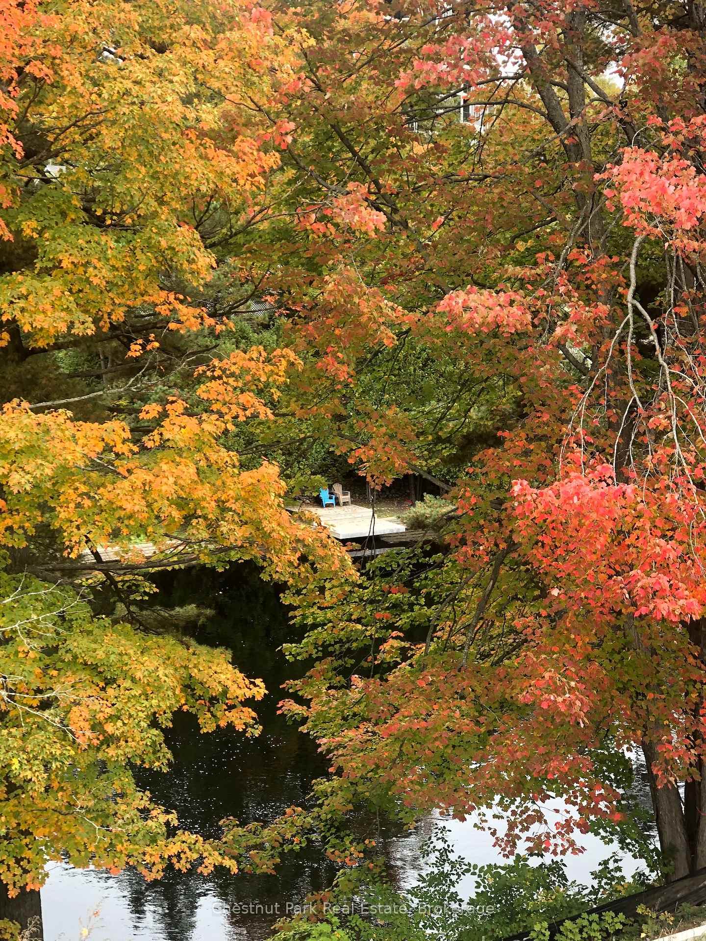 Photo 6 of 404-200 Anglo Street, Bracebridge, Macaulay — HOMEH