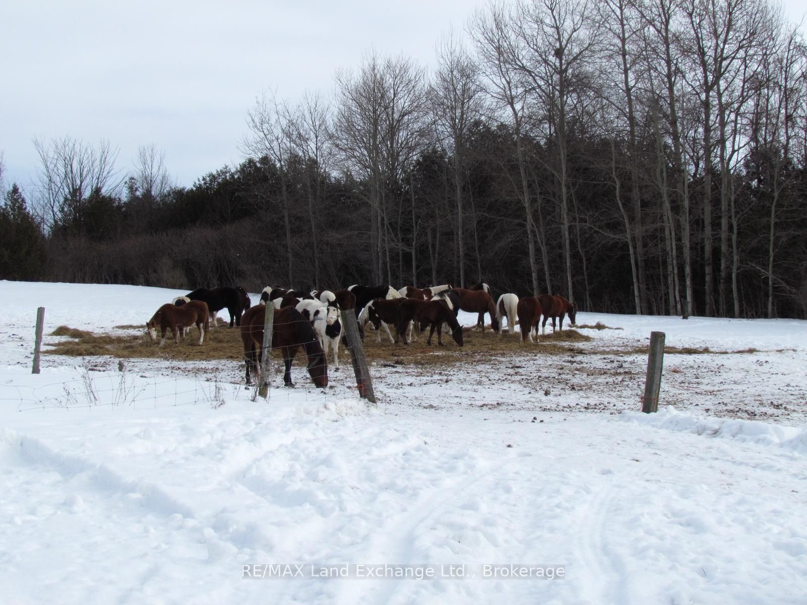 Photo 29 of 41073 Londesborough Rd 15, Central Huron, Hullett — HOMEH