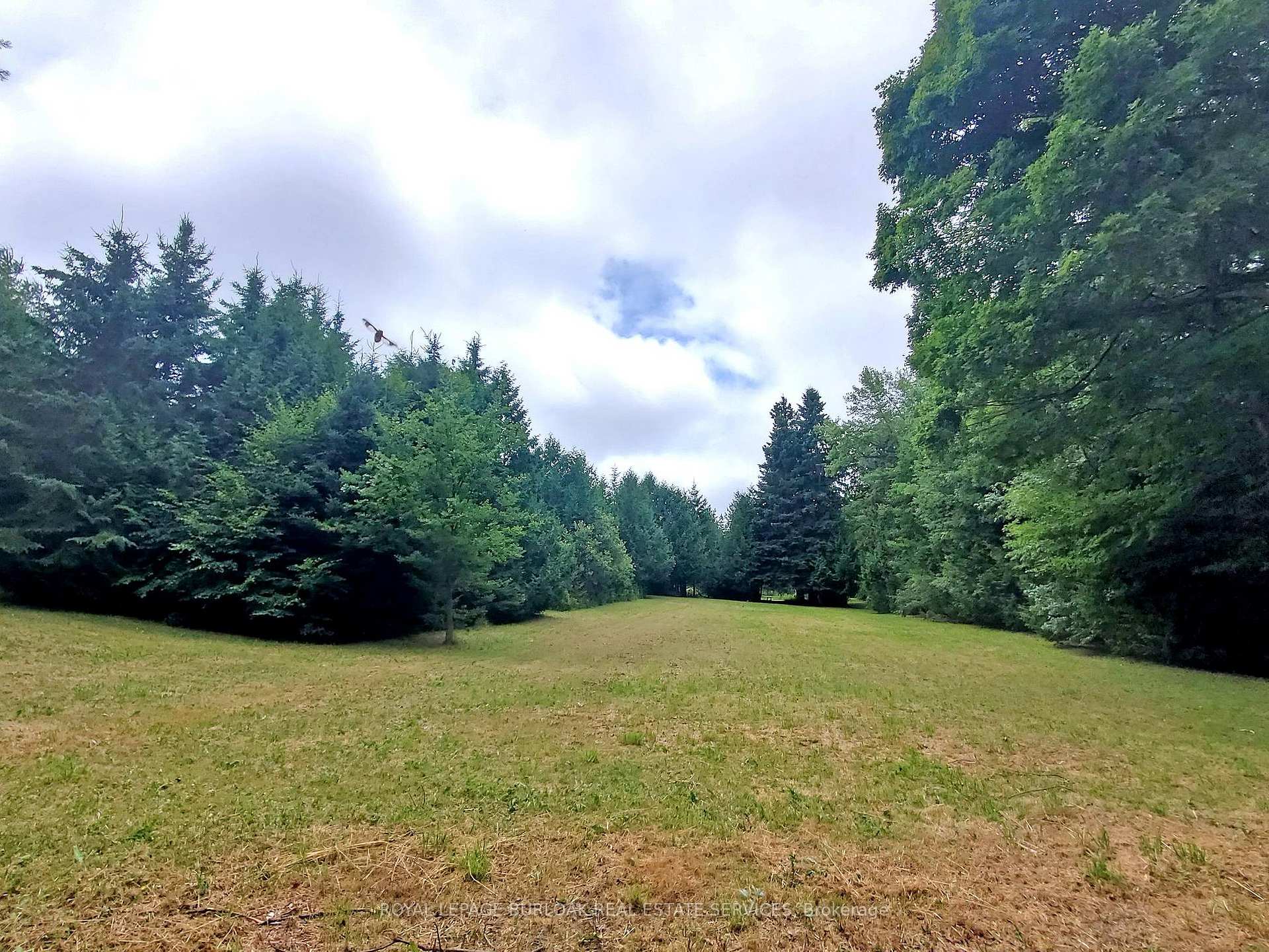 Photo 38 of 569 Highpoint Side Road, Caledon, Rural Caledon — HOMEH