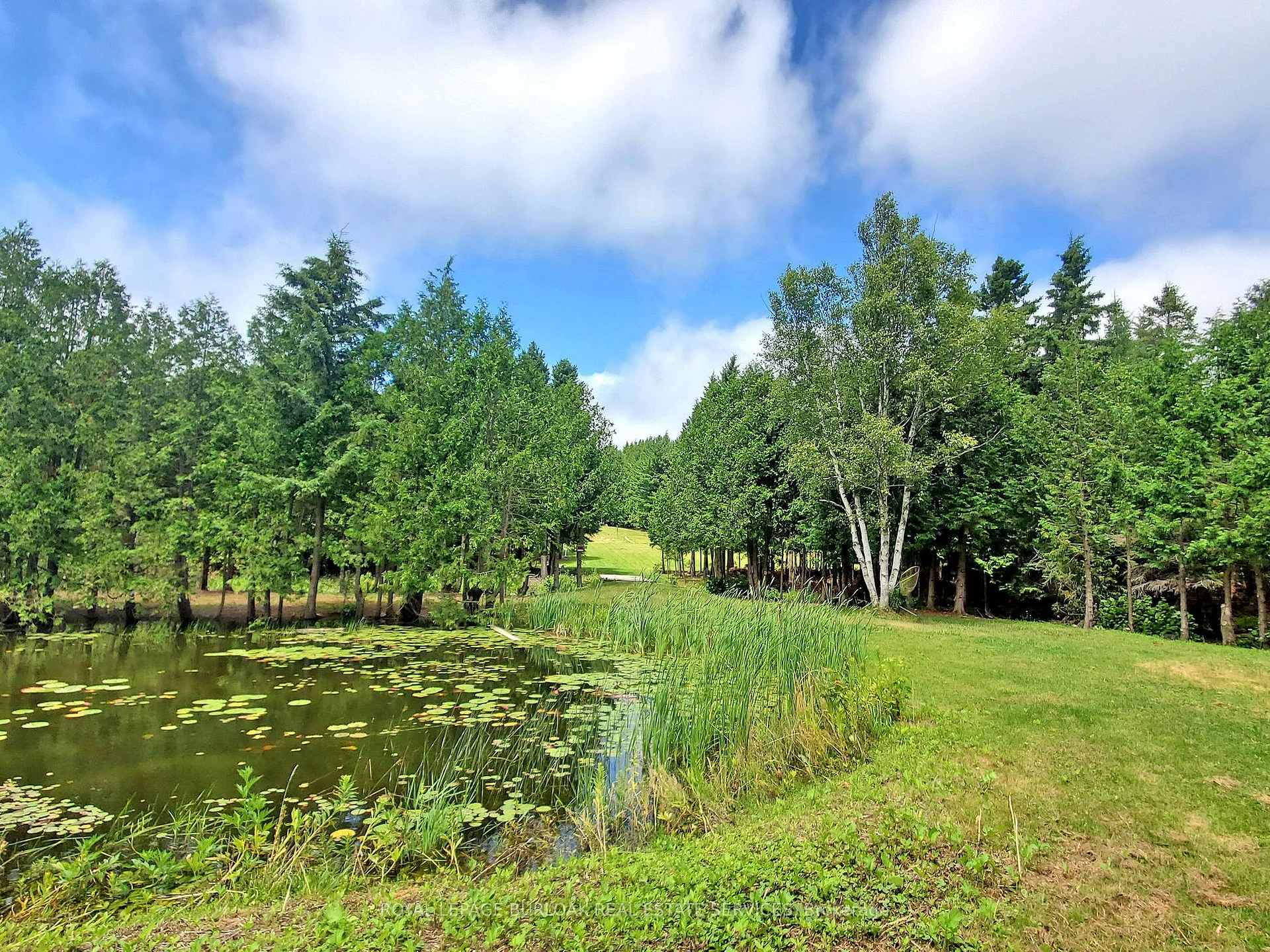 Photo 39 of 569 Highpoint Side Road, Caledon, Rural Caledon — HOMEH