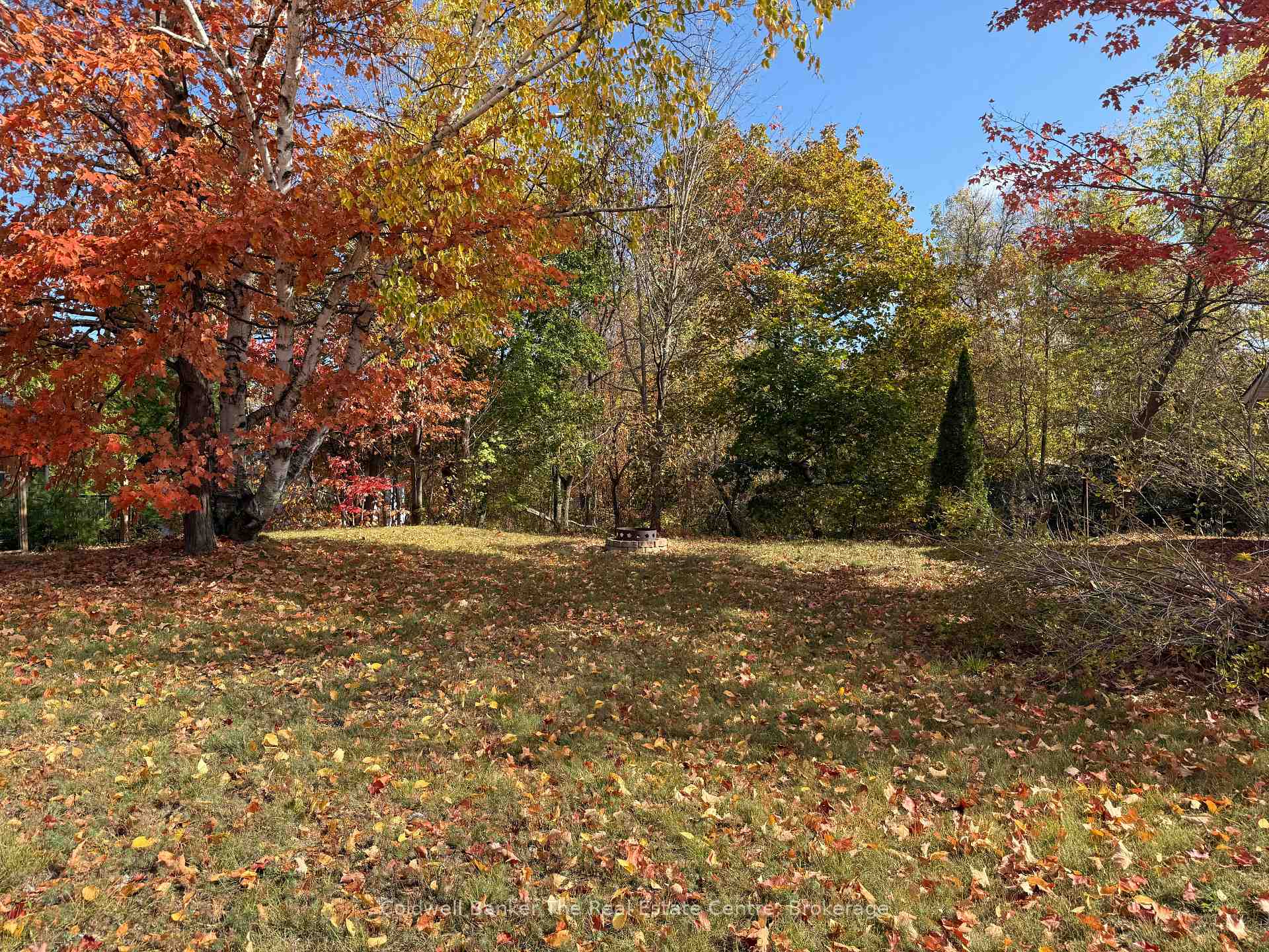 Photo 3 of Vacant Lot John Street N, Gravenhurst, Muskoka (S) — HOMEH
