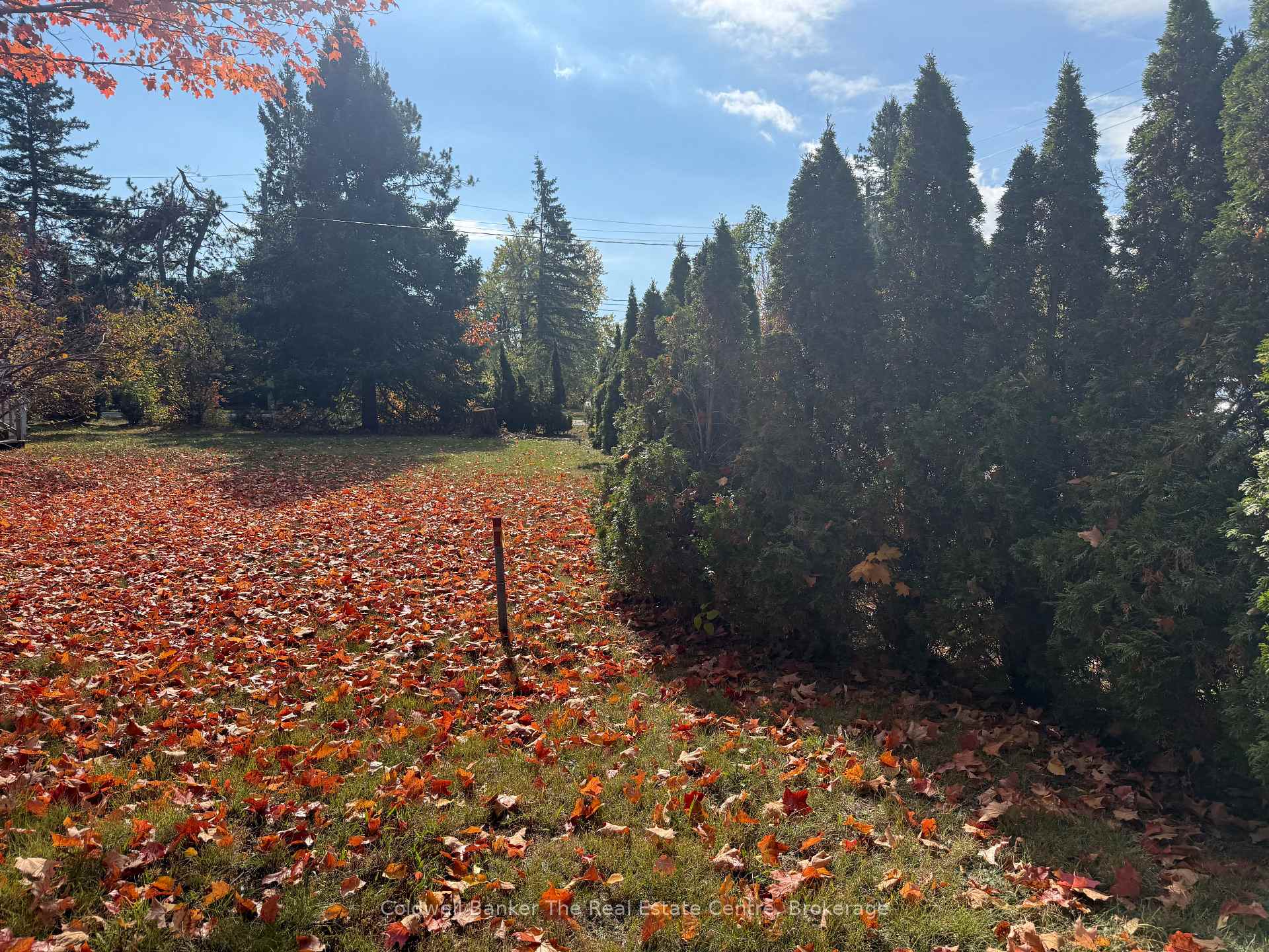 Photo 4 of Vacant Lot John Street N, Gravenhurst, Muskoka (S) — HOMEH