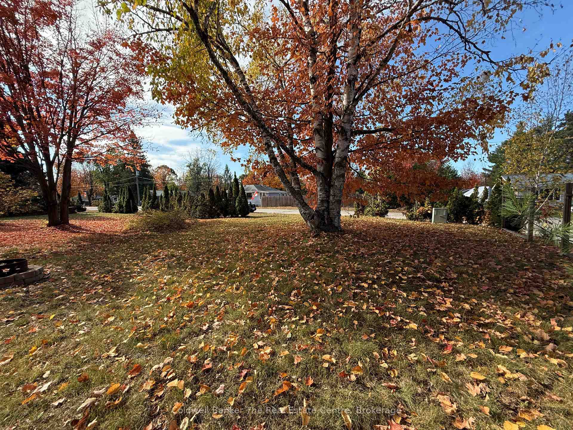 Photo 8 of Vacant Lot John Street N, Gravenhurst, Muskoka (S) — HOMEH