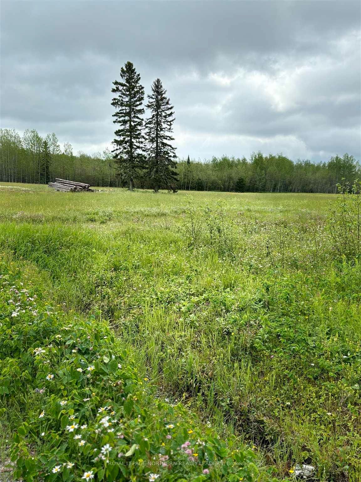 Photo 1 of Lot 23 Con 10 Clute, Cochrane, Cochrane Unorganized — HOMEH