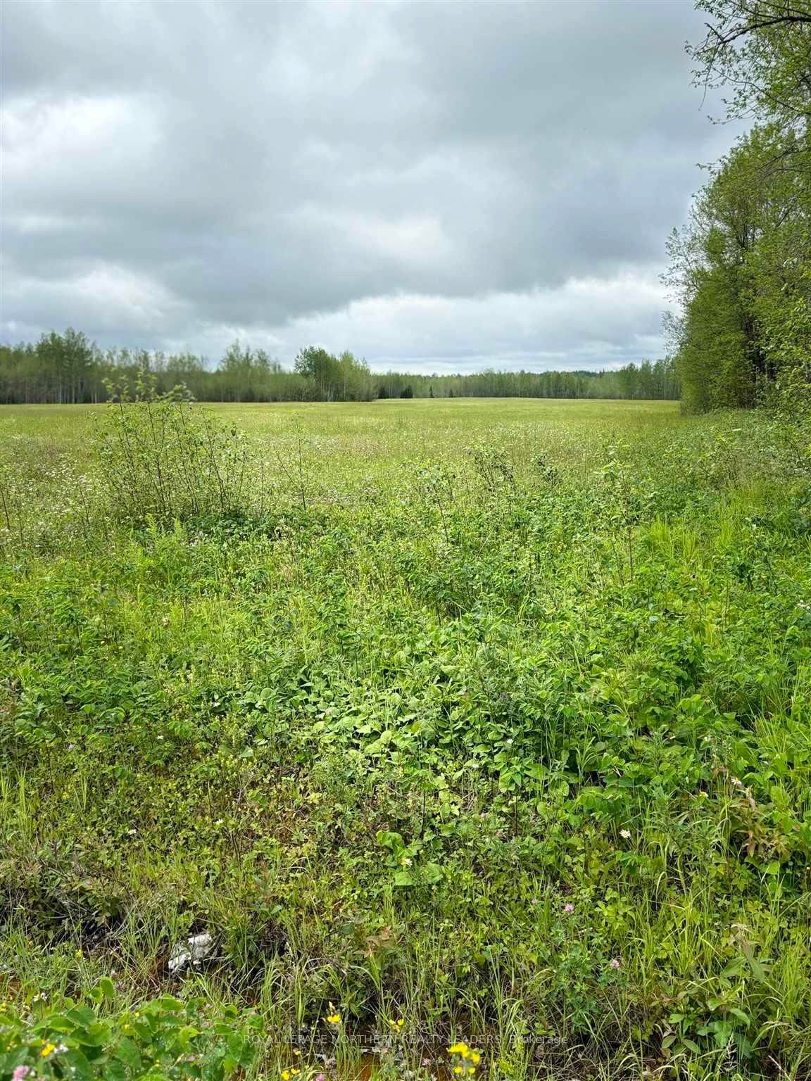 Photo 3 of Lot 23 Con 10 Clute, Cochrane, Cochrane Unorganized — HOMEH