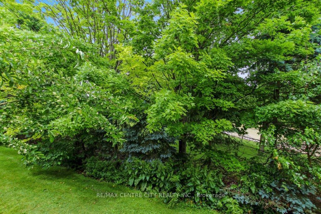 Photo 14 of Unit 3, 301 Carlow Road, Central Elgin, Rural Central Elgin — HOMEH