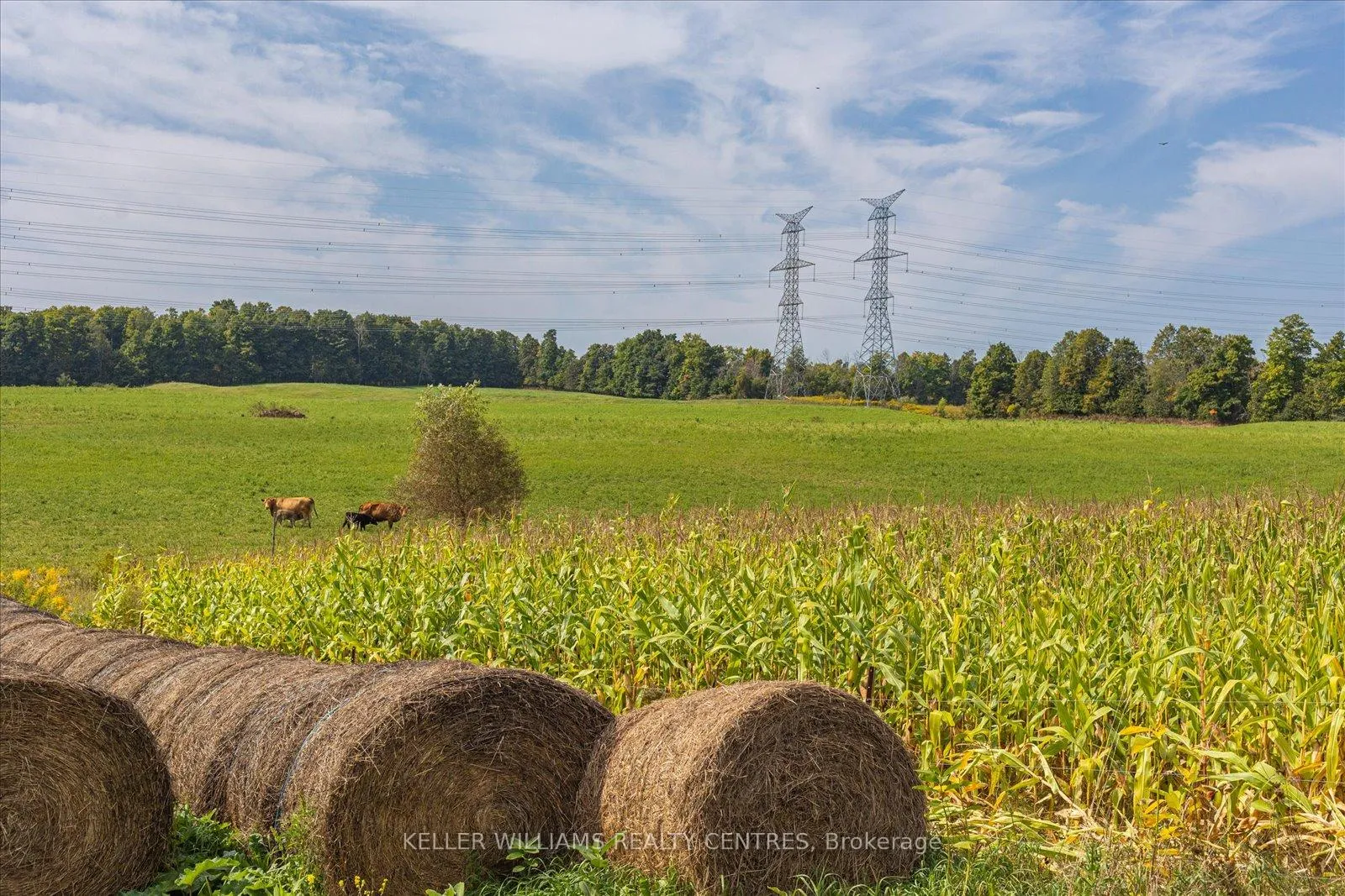 Photo 9 of 4956 Fifth Line, Erin, Rural Erin — HOMEH