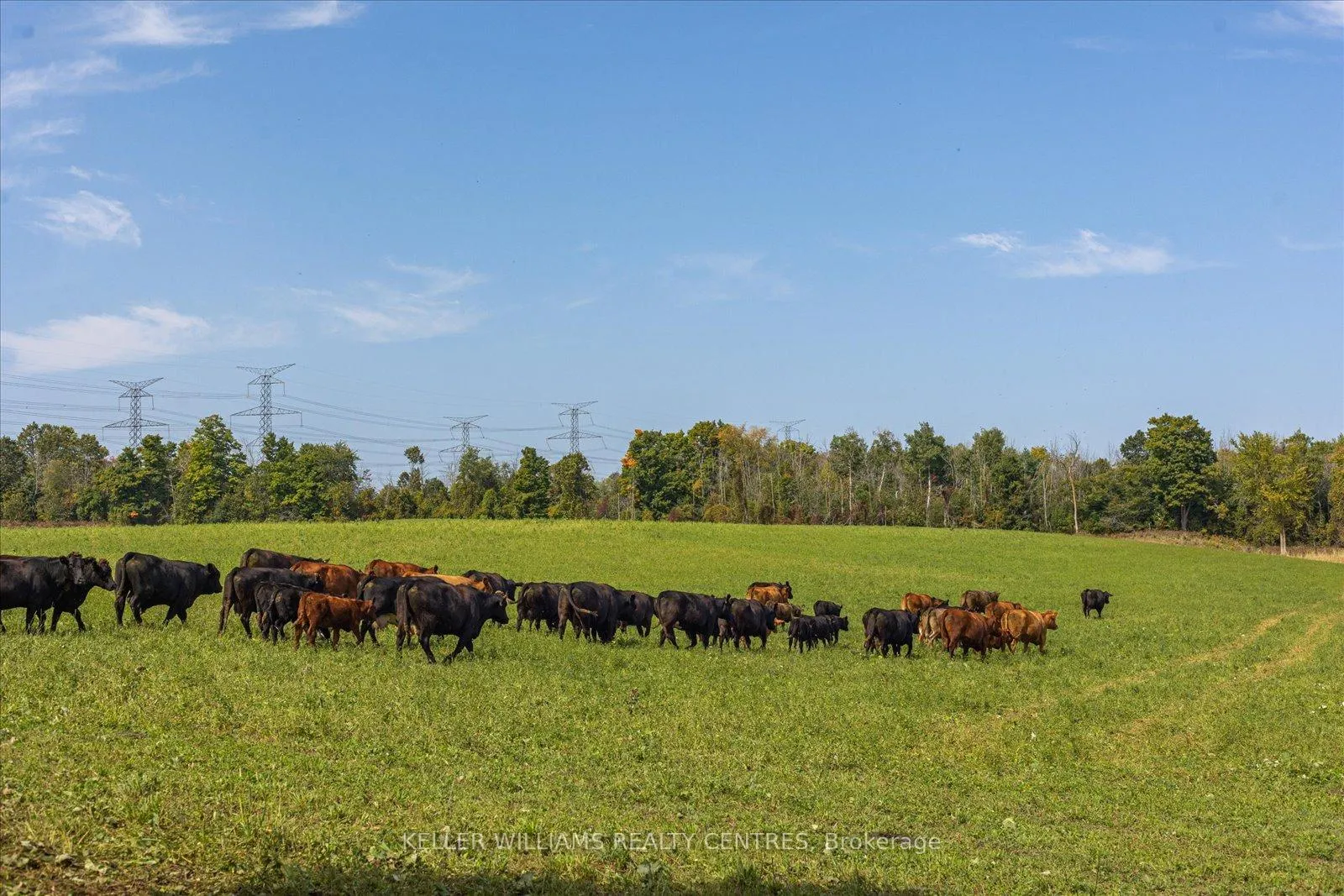 Photo 10 of 4956 Fifth Line, Erin, Rural Erin — HOMEH