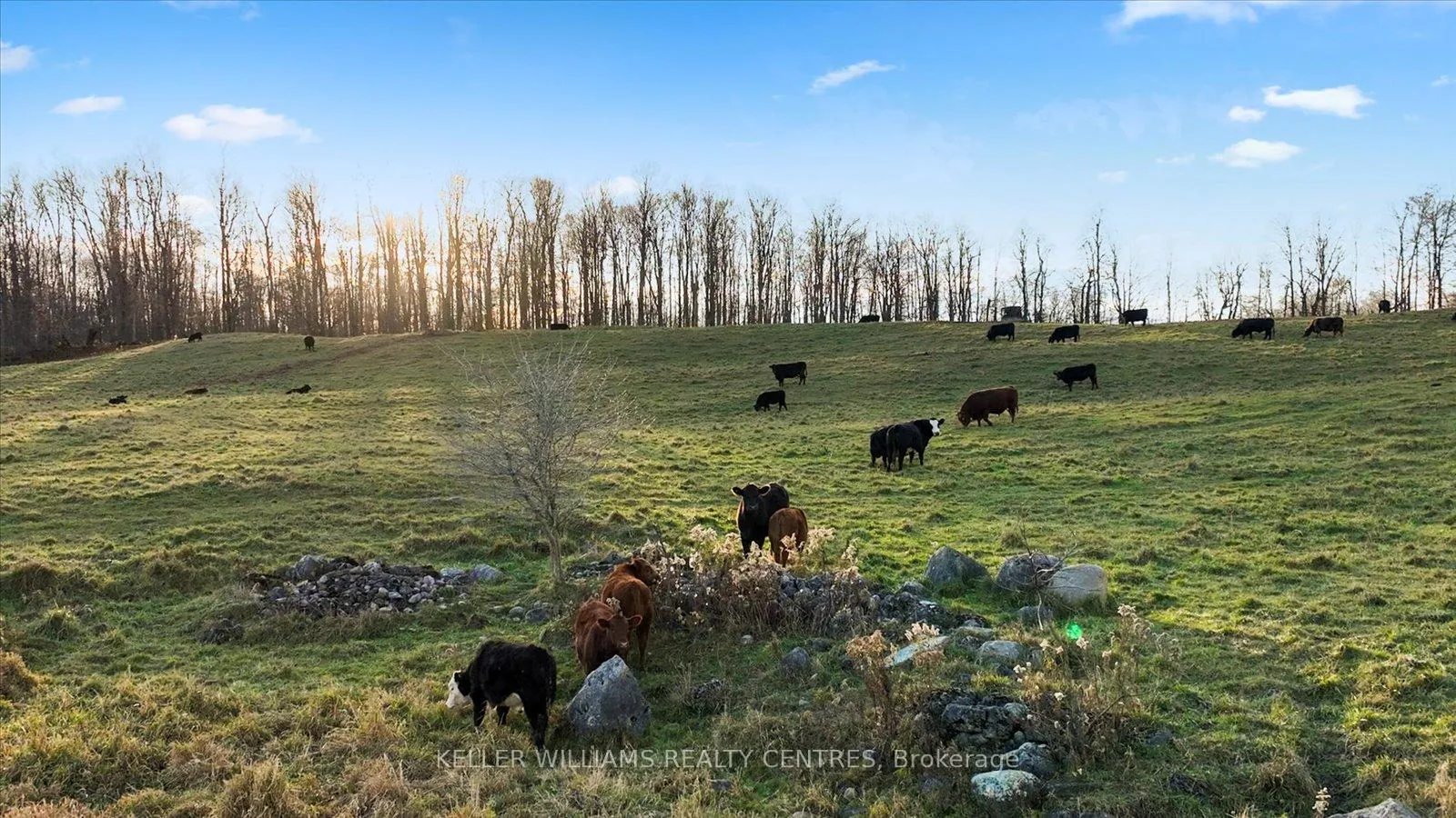 Photo 14 of 4956 Fifth Line, Erin, Rural Erin — HOMEH
