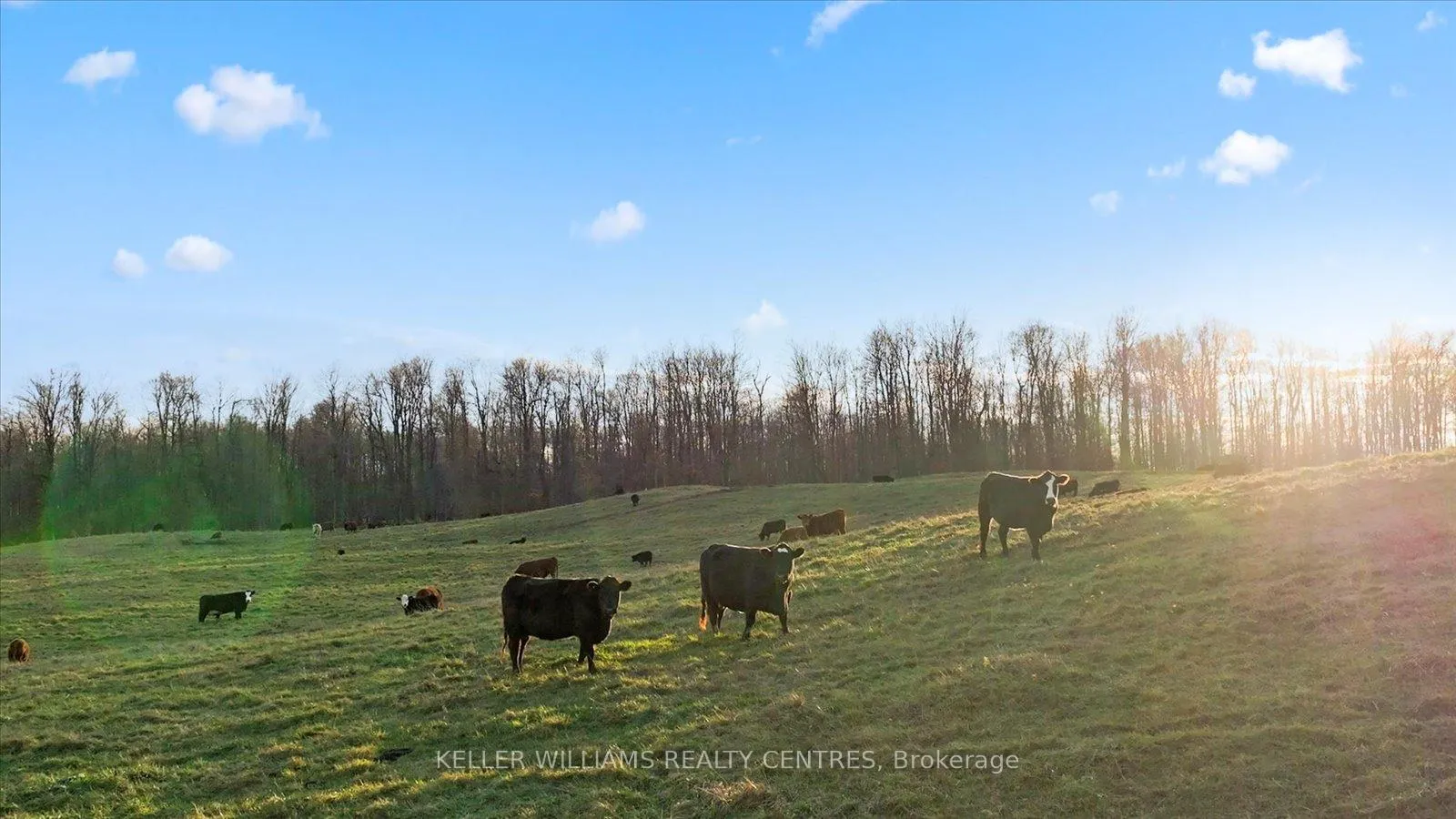 Photo 15 of 4956 Fifth Line, Erin, Rural Erin — HOMEH
