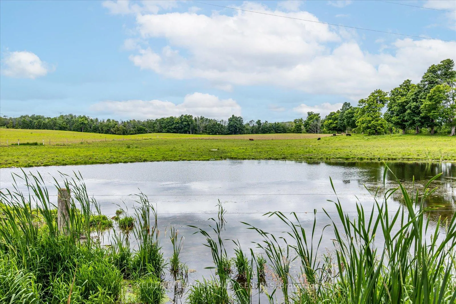 Photo 19 of 4956 Fifth Line, Erin, Rural Erin — HOMEH