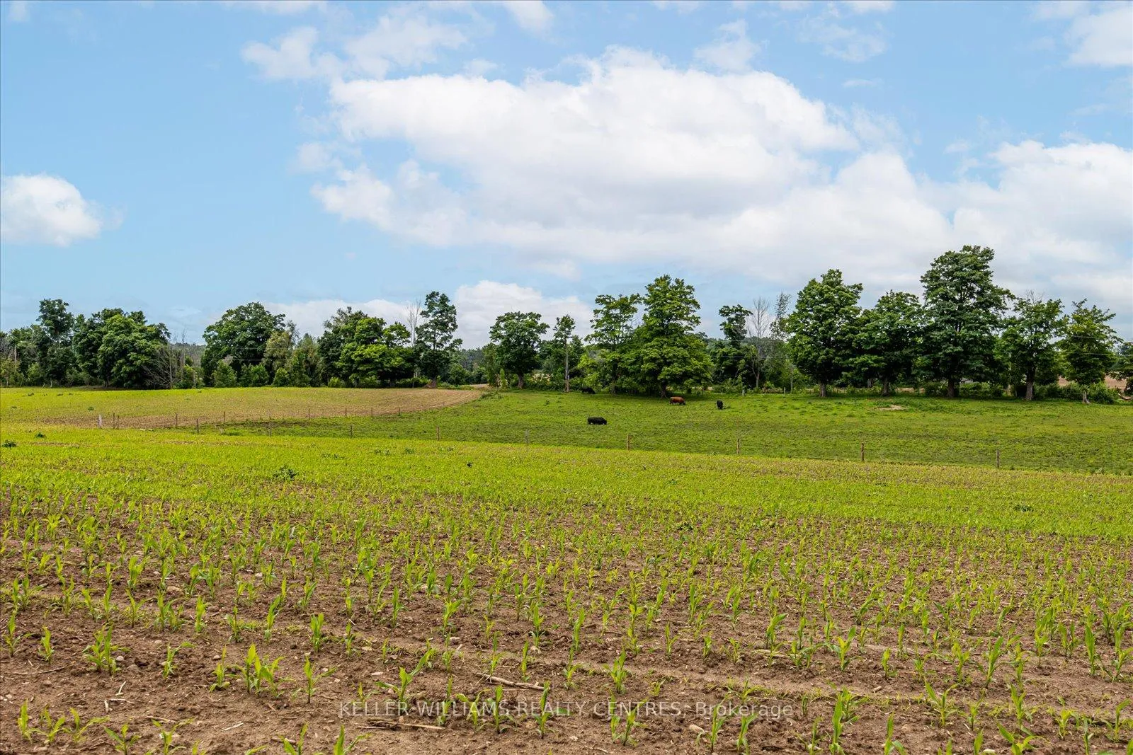 Photo 32 of 4956 Fifth Line, Erin, Rural Erin — HOMEH