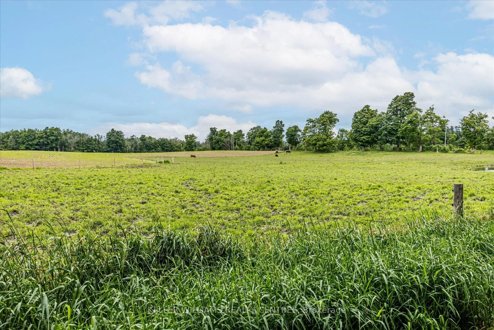 Photo 42 of 4956 Fifth Line, Erin, Rural Erin — HOMEH