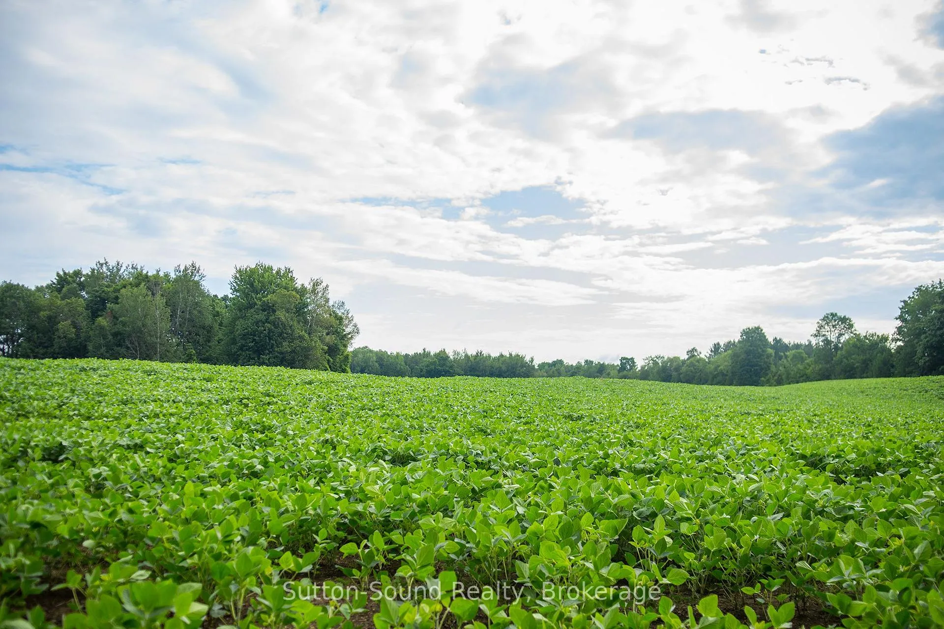 Photo 5 of PL11-12 10 Side Road, Chatsworth — HOMEH