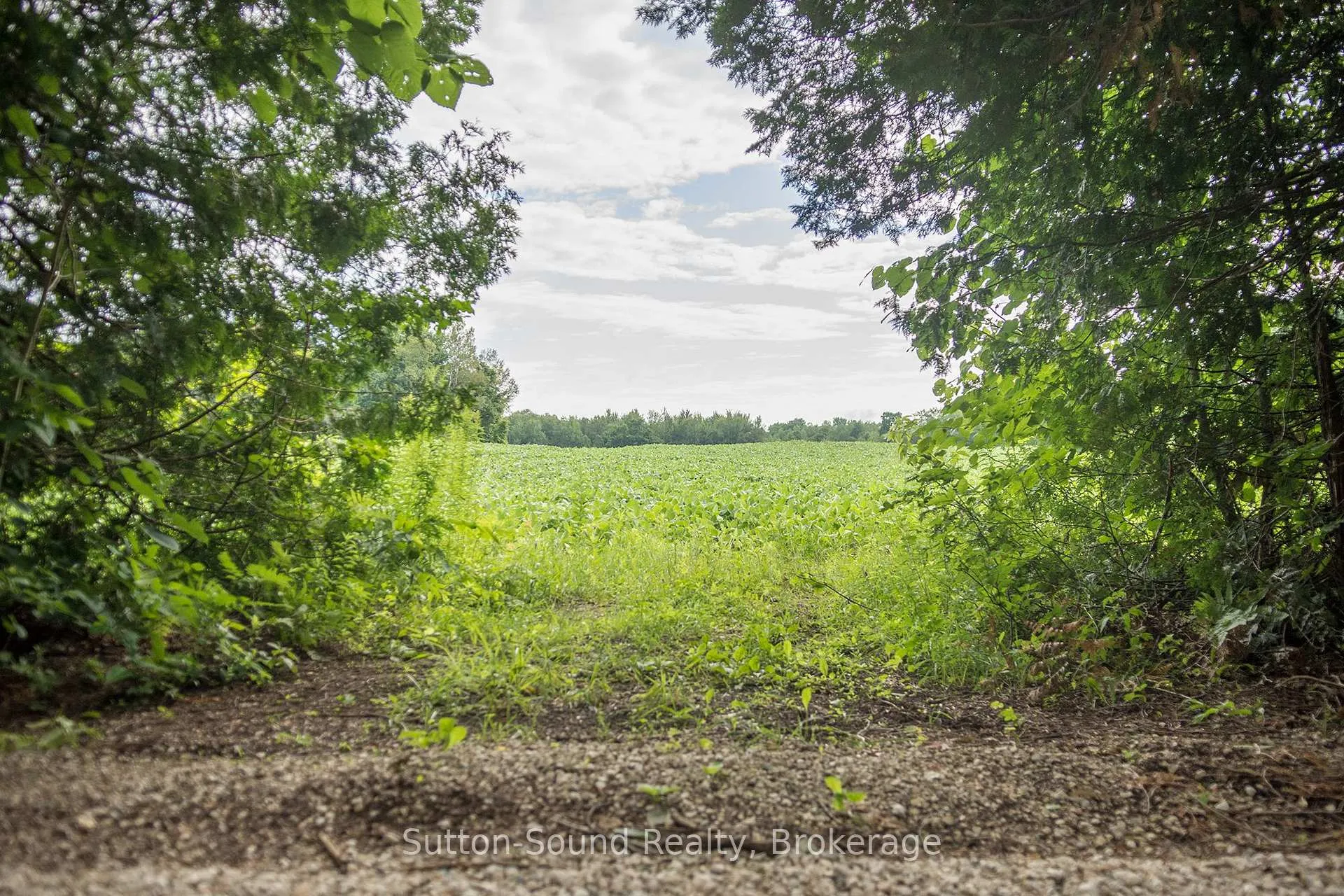 Photo 6 of PL11-12 10 Side Road, Chatsworth — HOMEH