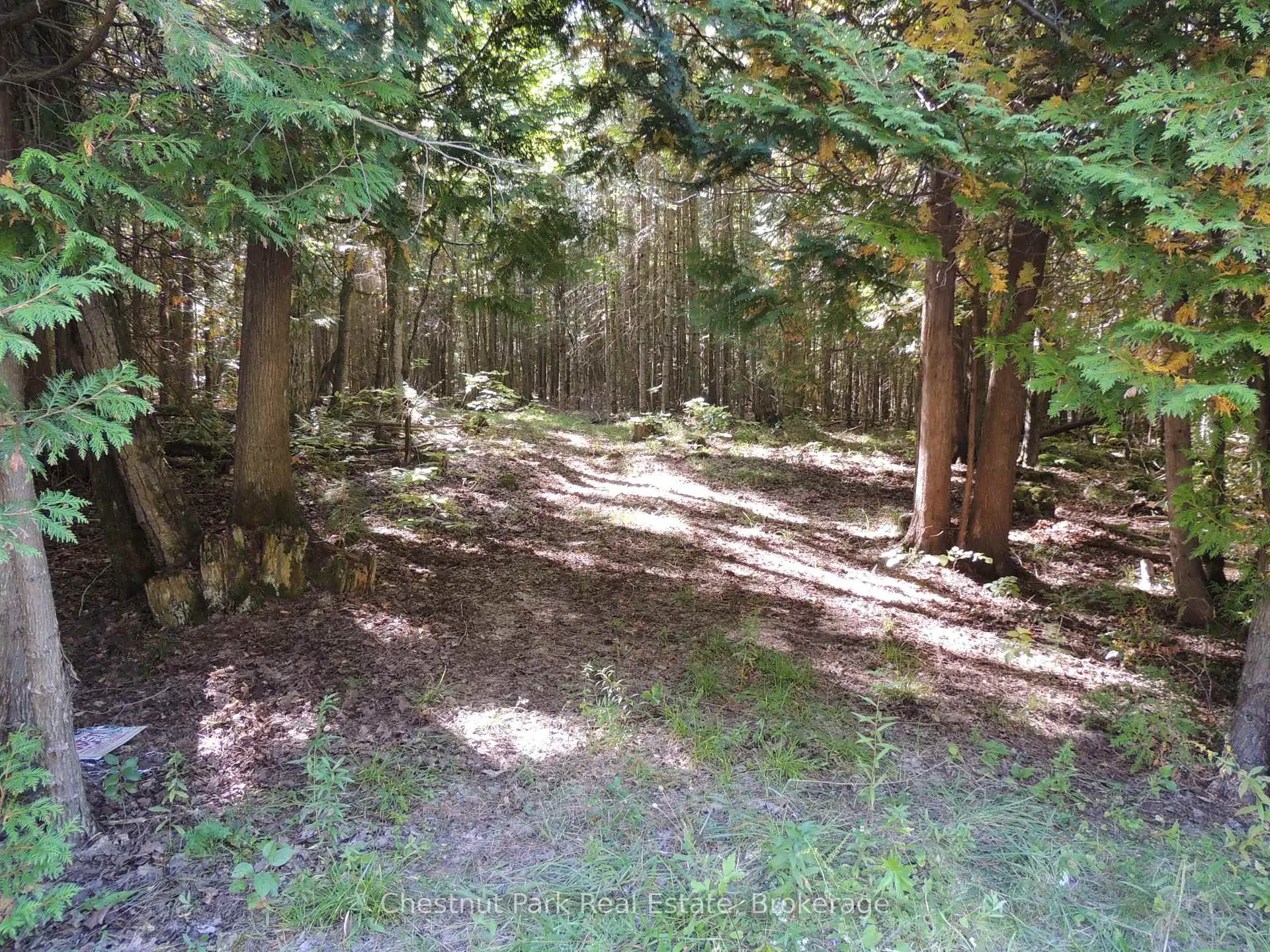 Photo 2 of 596244 Concession 10, Chatsworth — HOMEH