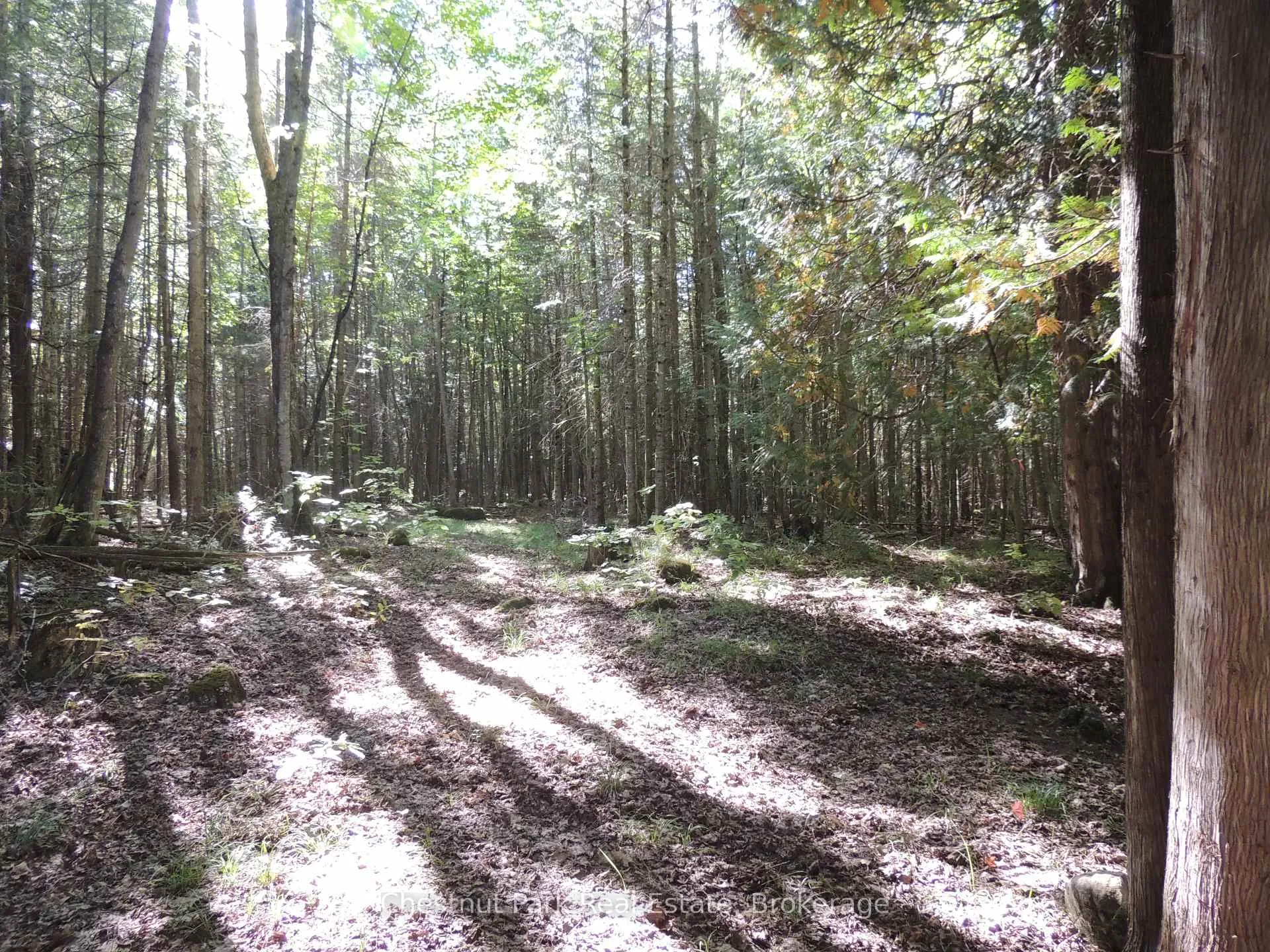 Photo 3 of 596244 Concession 10, Chatsworth — HOMEH