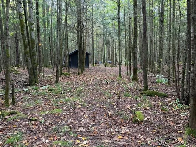 Photo 4 of 596244 Concession 10, Chatsworth — HOMEH