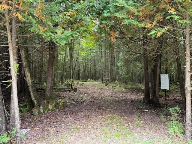 Photo 6 of 596244 Concession 10, Chatsworth — HOMEH
