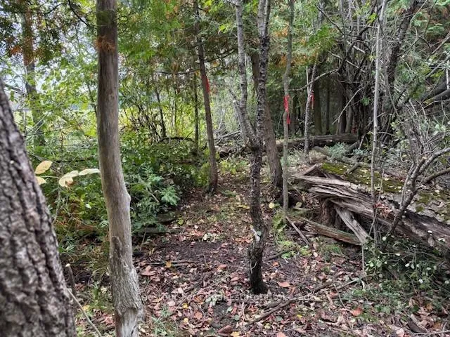 Photo 7 of 596244 Concession 10, Chatsworth — HOMEH