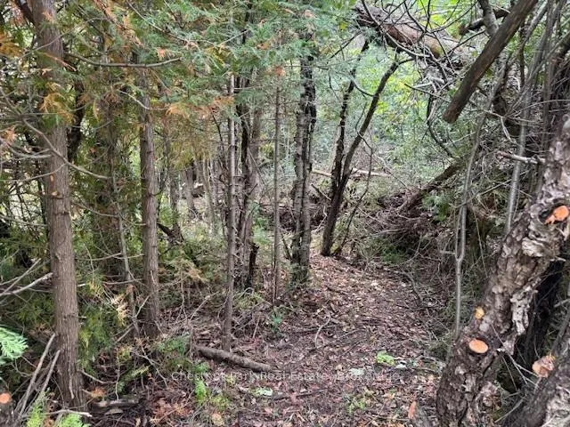 Photo 13 of 596244 Concession 10, Chatsworth — HOMEH