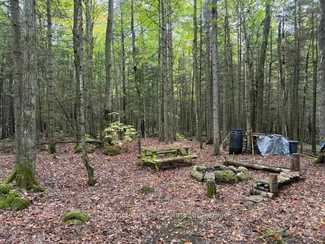 Photo 14 of 596244 Concession 10, Chatsworth — HOMEH