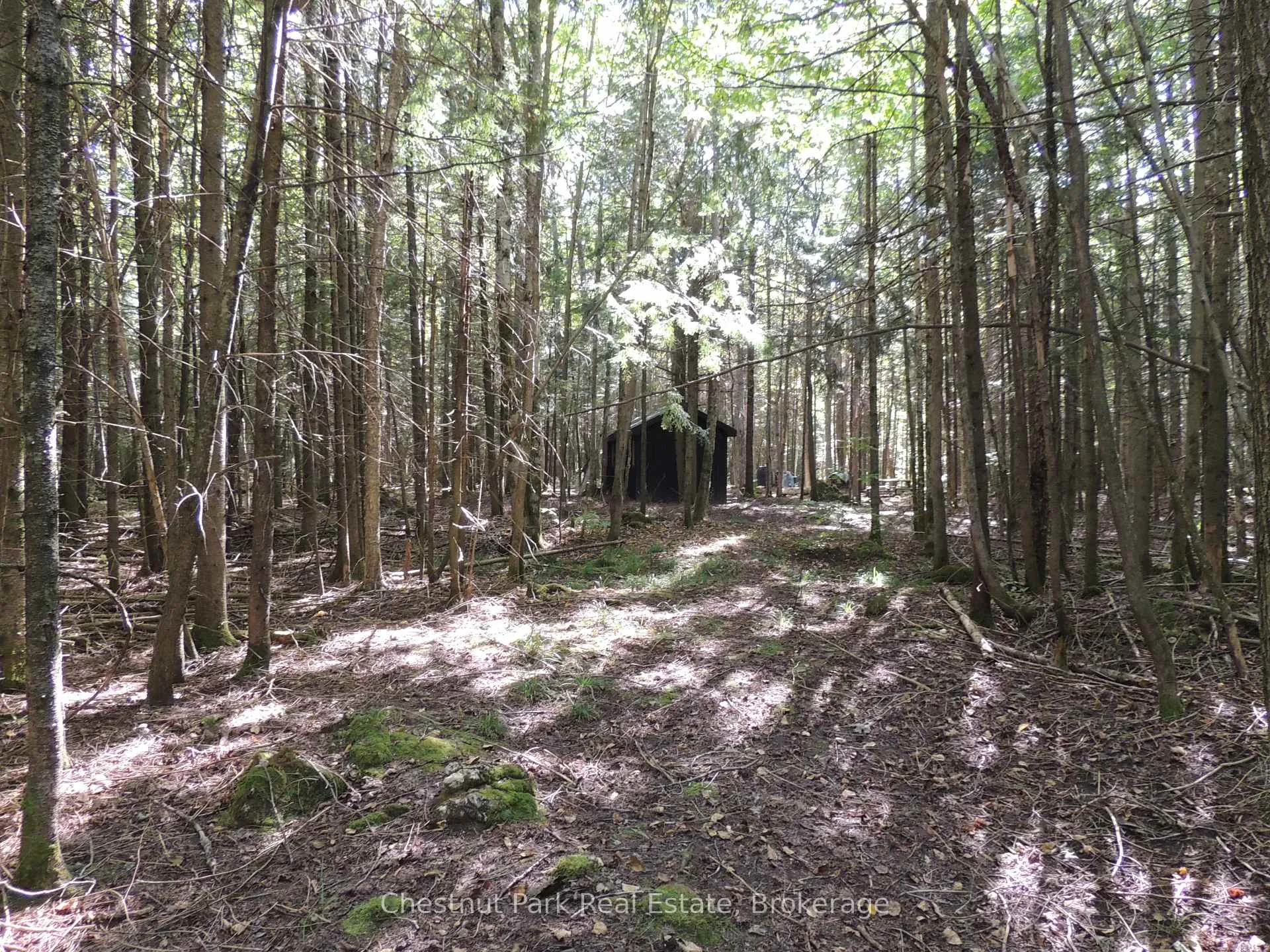 Photo 5 of 596244 Concession 10, Chatsworth — HOMEH