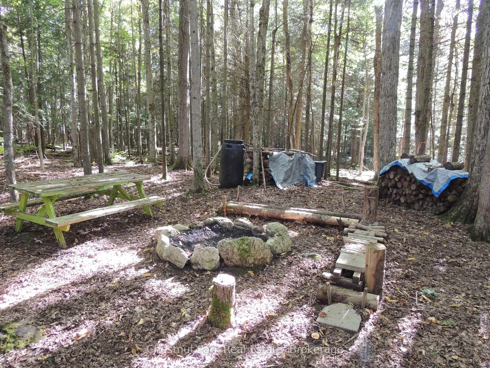 Photo 8 of 596244 Concession 10, Chatsworth — HOMEH