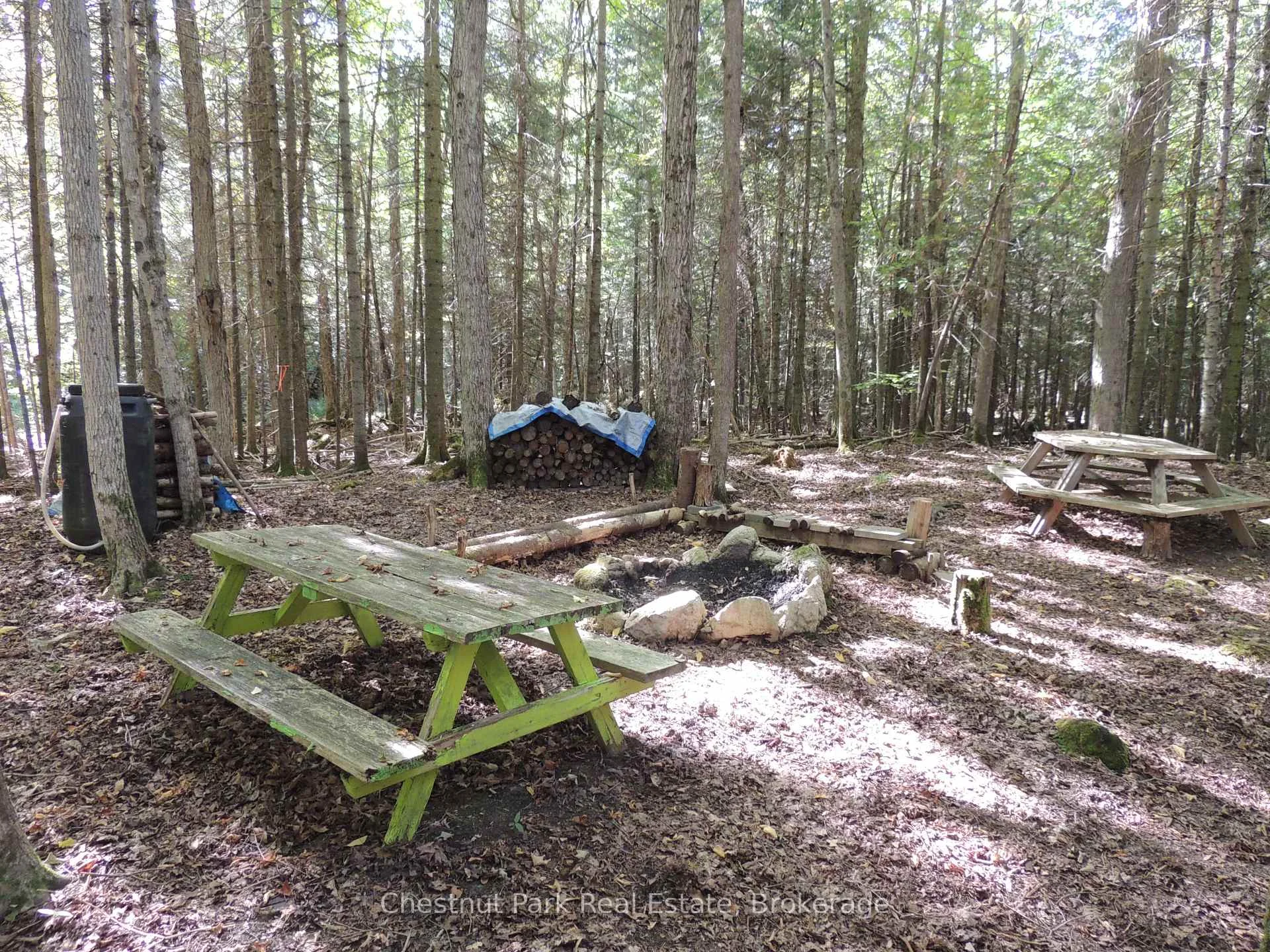 Photo 9 of 596244 Concession 10, Chatsworth — HOMEH