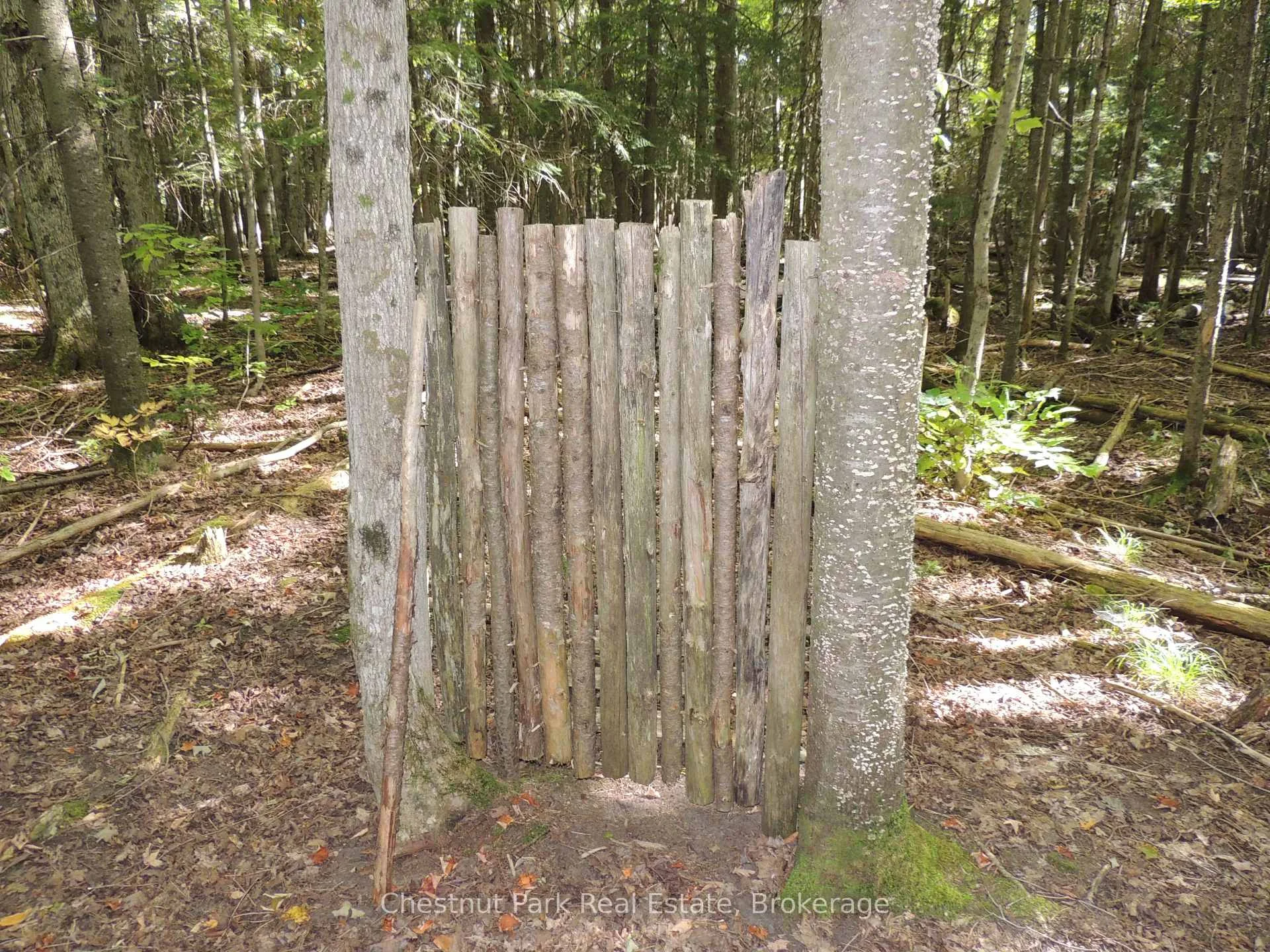 Photo 11 of 596244 Concession 10, Chatsworth — HOMEH