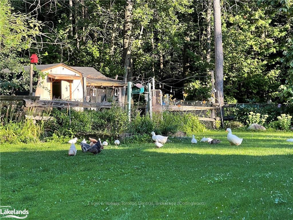 Photo 34 of 7253 36/37 Nottawasaga Sideroad Side Road, Clearview, Rural Clearview — HOMEH