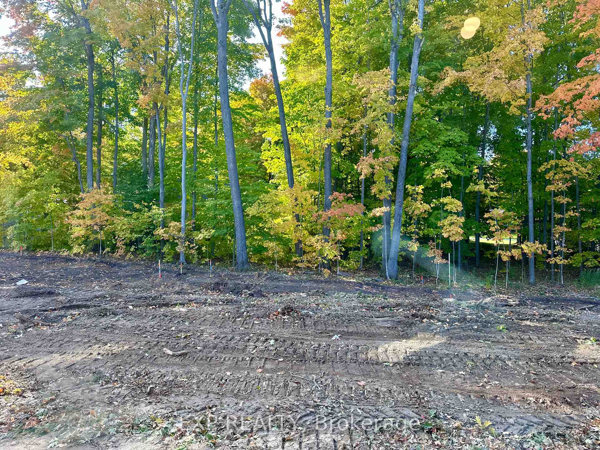 Photo 2 of 255 Beechwood Forest Lane, Gravenhurst, Muskoka (S) — HOMEH