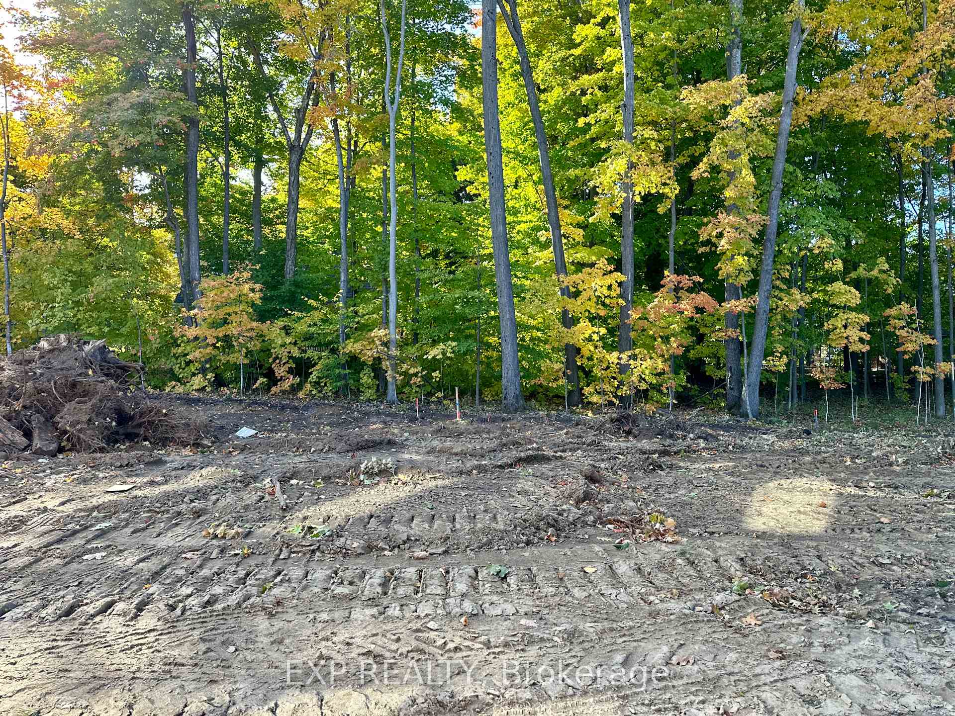 Photo 13 of 255 Beechwood Forest Lane, Gravenhurst, Muskoka (S) — HOMEH