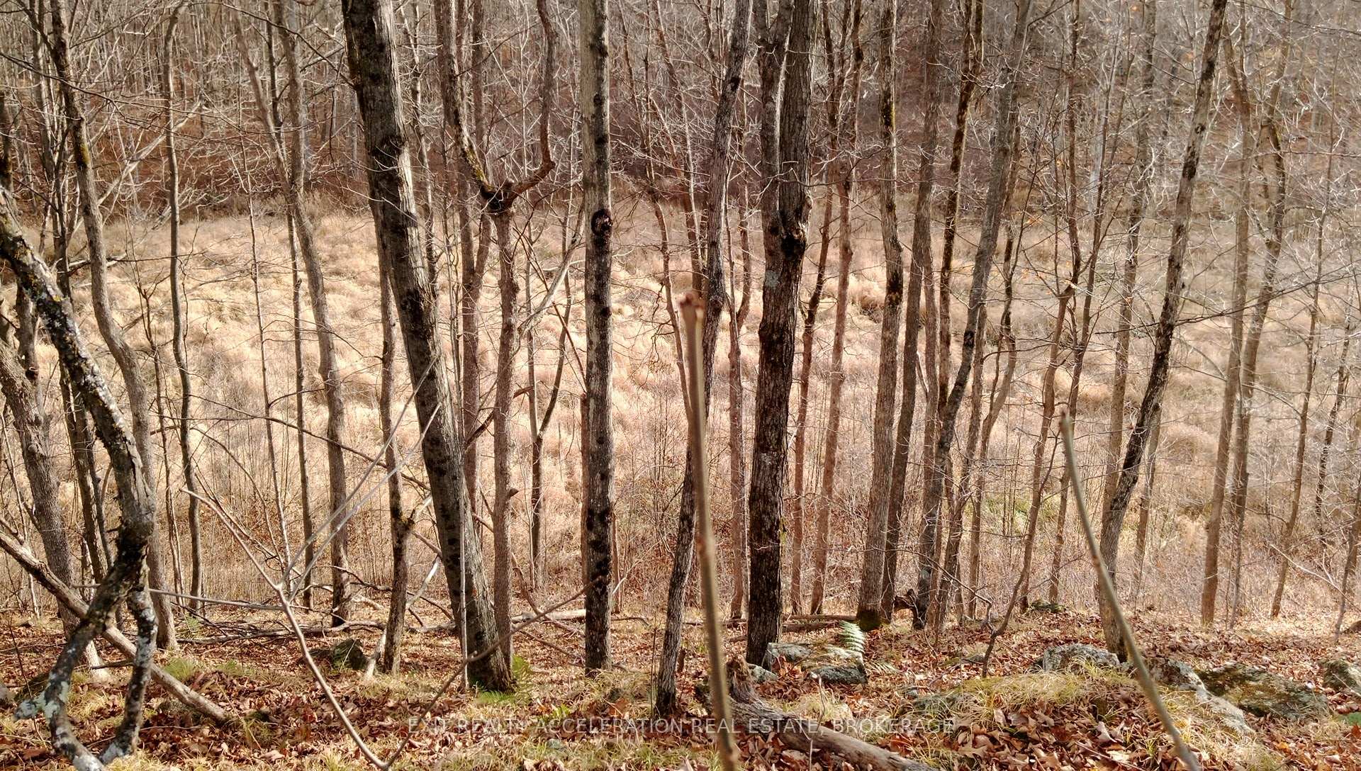 Photo 3 of Tryon Road, Frontenac, Frontenac Centre — HOMEH