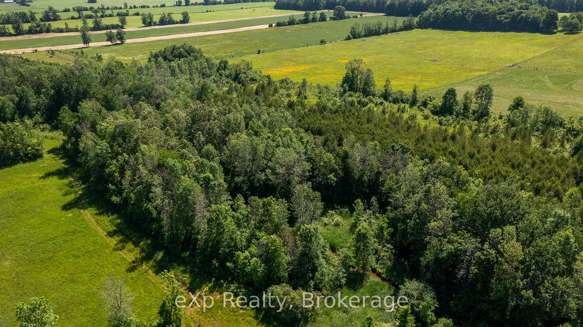 Photo 42 of 701768 5 Side Road, Chatsworth — HOMEH