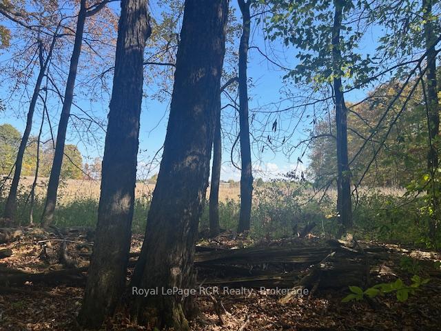 Photo 4 of 237069 2A Concession, Chatsworth — HOMEH