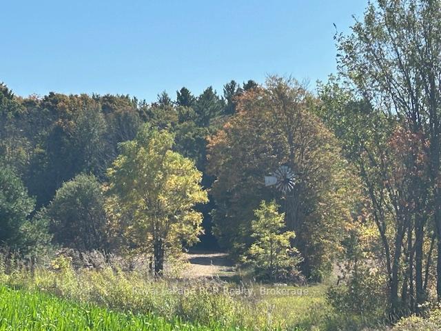 Photo 14 of 237069 2A Concession, Chatsworth — HOMEH